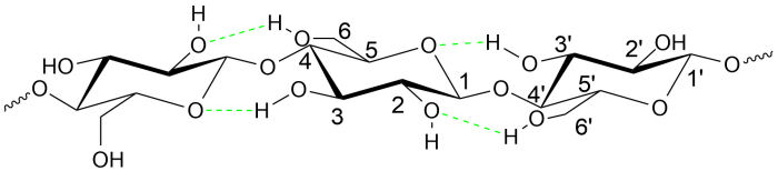 about cellulose 01