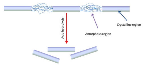 cellulose nanopaper printed 01