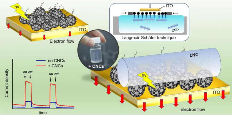 new article polymers mdpi